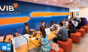TP Hồ Chí Minh
