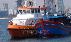 Cứu thành công 7 thuyền viên tàu cá bị nạn ở khu vực phía Nam Vịnh Bắc Bộ