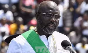 Phát hiện rắn khổng lồ có nọc độc đáng sợ nhất tại nhiệm sở, Tổng thống Liberia buộc phải làm việc tại nhà 