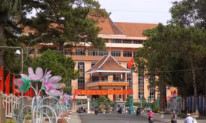 Nhiều cán bộ, đảng viên ở Gia Lai bị kiểm tra dấu hiệu vi phạm