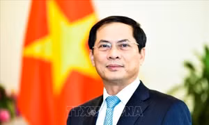 Xây dựng cộng đồng châu Á - Thái Bình Dương mở năng động, tự cường và hòa bình