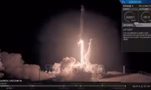 SpaceX hoãn vụ phóng thương mại đầu tiên của tên lửa Falcon Heavy