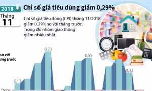Chỉ số giá tiêu dùng tháng 11 giảm 0,29%