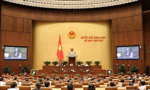 Bên lề Quốc hội: Đồng tình với những chính sách trong dự án Luật Giáo dục (sửa đổi)
