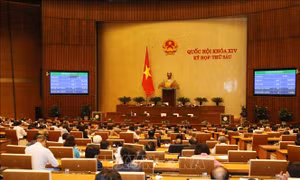 Xếp hạng cơ sở giáo dục đại học nhằm đánh giá uy tín, chất lượng