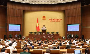 Kế hoạch triển khai Luật Bảo vệ bí mật nhà nước
