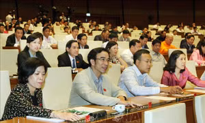 Quốc hội biểu quyết thông qua nhiều luật quan trọng trong ngày 19/11
