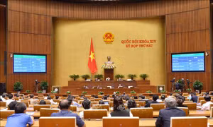  Quốc hội biểu quyết thông qua Nghị quyết phê chuẩn Hiệp định CPTPP