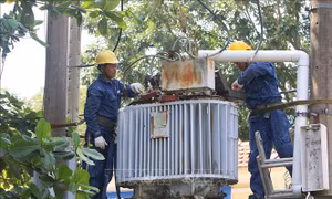 Phối hợp xử lý trường hợp bán điện không đúng giá quy định