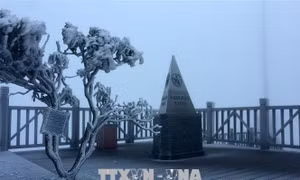 Sương muối phủ trắng đỉnh Fansipan, Sa Pa giảm nhiệt sâu còn 7,6 độ C