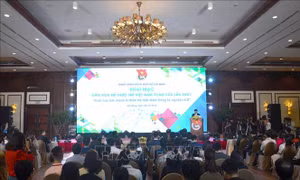 Phát huy sức mạnh trí thức trẻ trong kỷ nguyên 4.0