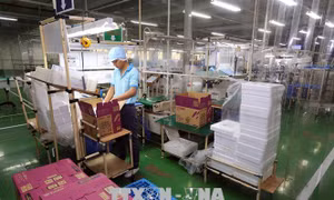 Tháng đầu năm đã có 11 dự án FDI rót vốn vào Đồng Nai