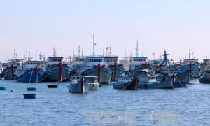 Đầu tư các dự án tại 4 tỉnh miền Trung sử dụng khoản tiền bồi thường của Công ty Formosa