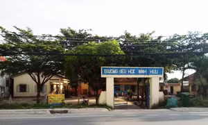 Bộ Giáo dục và Đào tạo yêu cầu xác minh việc cô giáo đánh học sinh tiểu học ở Long An
