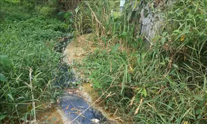 Bơm rửa cát gây tắc nghẽn dòng suối