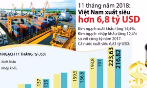 11 tháng năm 2018: Việt Nam xuất siêu hơn 6,8 tỷ USD
