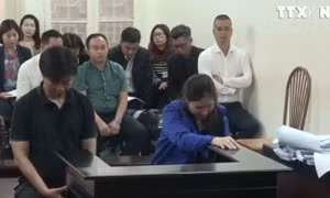 Xét xử hai vợ chồng trong vụ án lừa đảo từ dự án 'ma' nước uống học đường