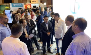 Xúc tiến thương mại và hợp tác đầu tư Việt Nam - Algeria
