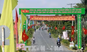Công nhận 3 huyện, thị xã đạt chuẩn nông thôn mới