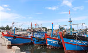 Tháo gỡ khó khăn gói tín dụng đóng tàu vỏ thép - Bài 2: Đầu tư kỹ thuật để xứng tầm 