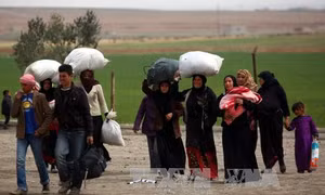 Cảnh báo IS bắt dân thường Syria làm lá chắn sống