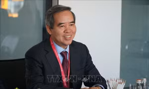 Miền núi Thanh Hóa cần trồng nhiều cây ăn quả và gỗ lớn