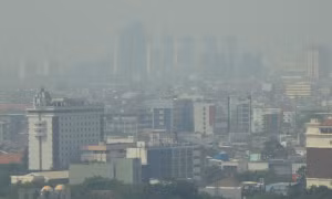Indonesia sẽ chuyển thủ đô từ Jakarta đến Đông Kalimantan