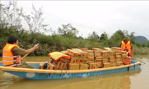 Các tỉnh, thành phố triển khai các biện pháp khắc phục hậu quả mưa lũ