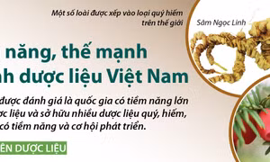 Tiềm năng, thế mạnh ngành dược liệu Việt Nam