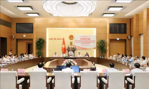 Điều chỉnh Chương trình xây dựng luật, pháp lệnh năm 2019