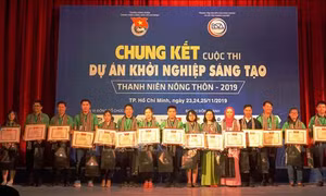 Giải Nhất cuộc thi khởi nghiệp sáng tạo thanh niên nông thôn thuộc về dự án 'Bột rau sấy lạnh'