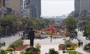 Công bố thông tin về Đường hoa Nguyễn Huệ Xuân Canh Tý 2020