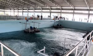 Cần có cơ chế khuyến khích, ưu đãi trong xử lý nước thải sinh hoạt