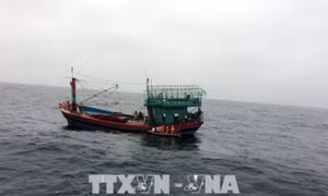 Cứu được 41 ngư dân gặp nạn trên biển