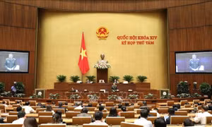 Kỳ họp thứ 8, Quốc hội khóa XIV: Thảo luận tại tổ ba dự án Luật