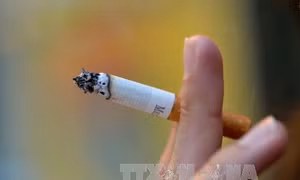 Nhắn tin qua điện thoại để... cai thuốc lá