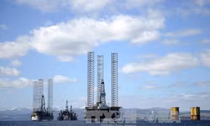 Giá dầu WTI sụt giảm 