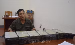  Bắt quả tang vụ vận chuyển trái phép 60 bánh heroin
