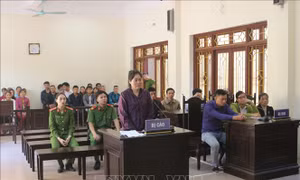 Lĩnh án chung thân vì dùng xăng đốt mẹ đẻ