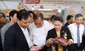 Khai mạc Hội chợ làng nghề lần thứ 15 và sản phẩm OCOP Việt Nam 2019