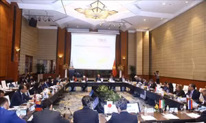 Sau phiên khai mạc, Hội nghị lần thứ 44 Ban Chấp hành OANA bước vào cuộc họp Ban điều hành