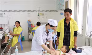 Bộ Y tế kiểm tra công tác phòng, chống sốt xuất huyết tại Ninh Thuận
