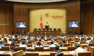 Thông cáo số 17, Kỳ họp thứ 7, Quốc hội khóa XIV