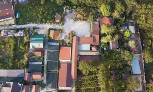 Kiểm tra dấu hiệu vi phạm trong vụ việc chiếm đất rừng xây nhà hàng trái phép