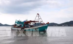 Khuyến cáo ngư dân thực hiện các quy định khắc phục 'thẻ vàng' IUU