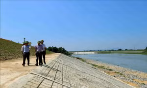 Quy trình lập, thẩm định, phê duyệt quy hoạch đê điều