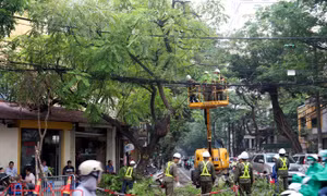Hà Nội xây dựng phương án ứng phó mùa mưa bão 2019