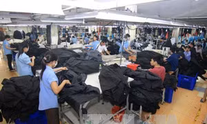 Bị xử phạt về môi trường sẽ không được là 'Doanh nghiệp xuất khẩu uy tín' 