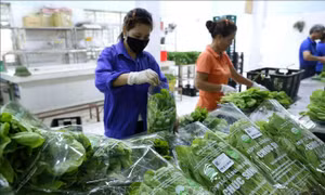 Hành động để chống rác thải nhựa - Bài 2: Hệ thống phân phối hướng tới tiêu dùng xanh