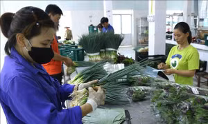Hành động để chống rác thải nhựa - Bài 1: Thúc đẩy chuyển dịch sang kinh tế xanh